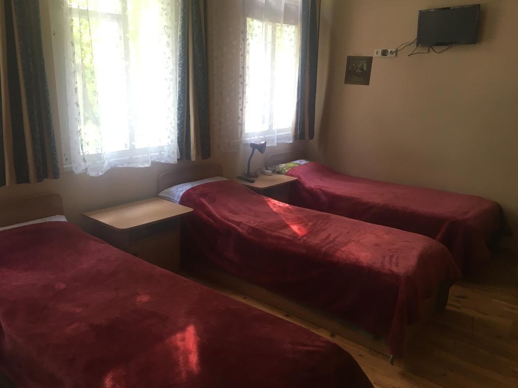 Parko Vila دروسكينينكاي المظهر الخارجي الصورة